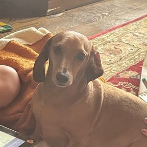 Meet your Posher, Chad